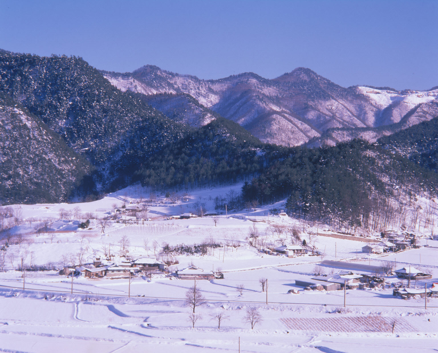 산촌