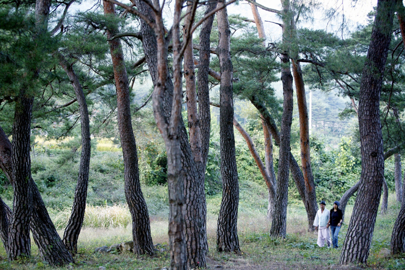 올해 가장 아름다운 숲에‘포항 덕동 마을숲’선정 이미지2