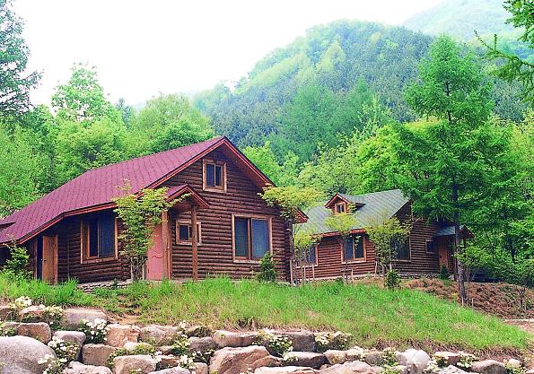 유명산자연휴양림,「푸른 꿈 푸른 나무」어린이날 큰잔치 