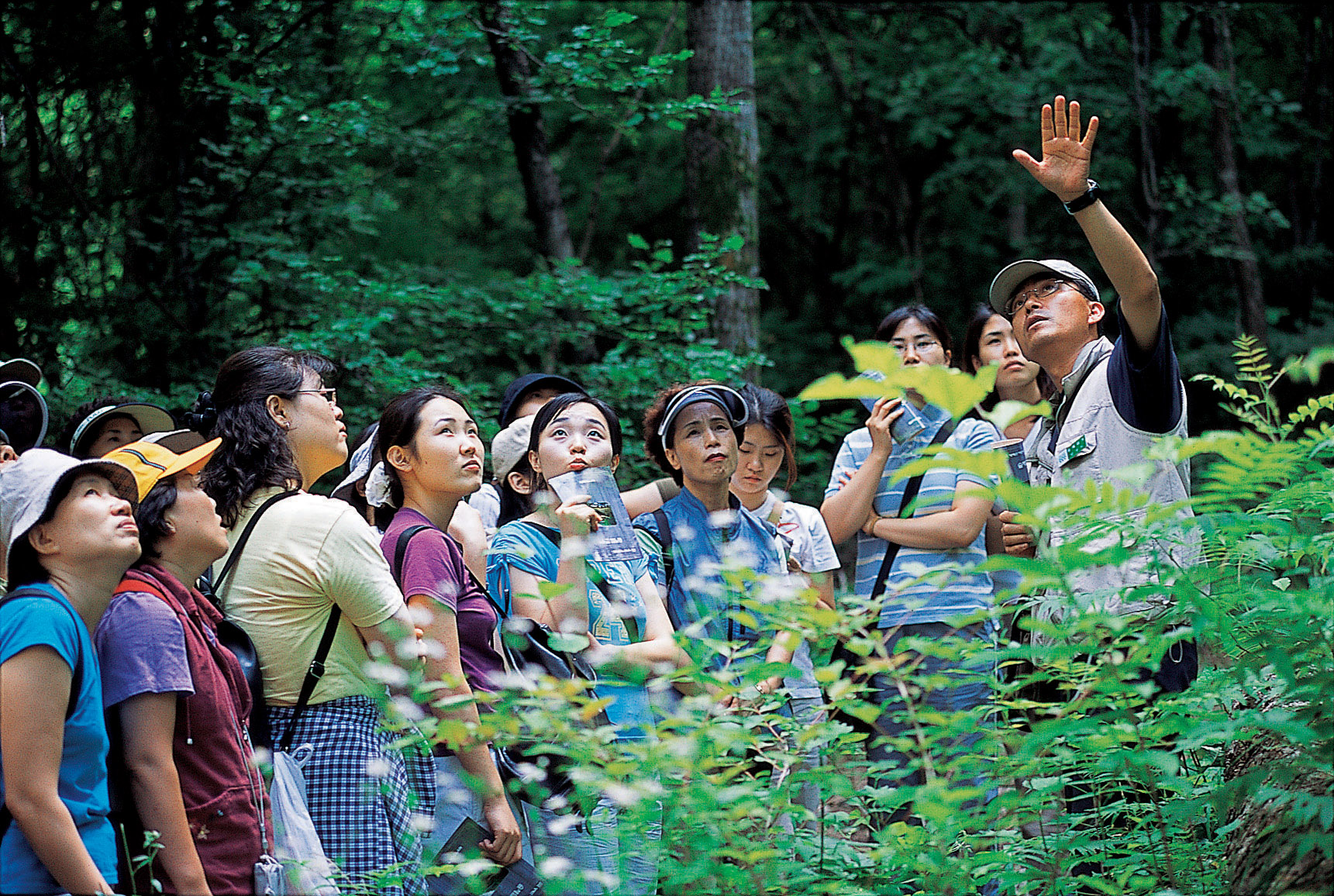 국립자연휴양림관리소, 다자녀가족 대상 무료 숲체험 행사 이미지1