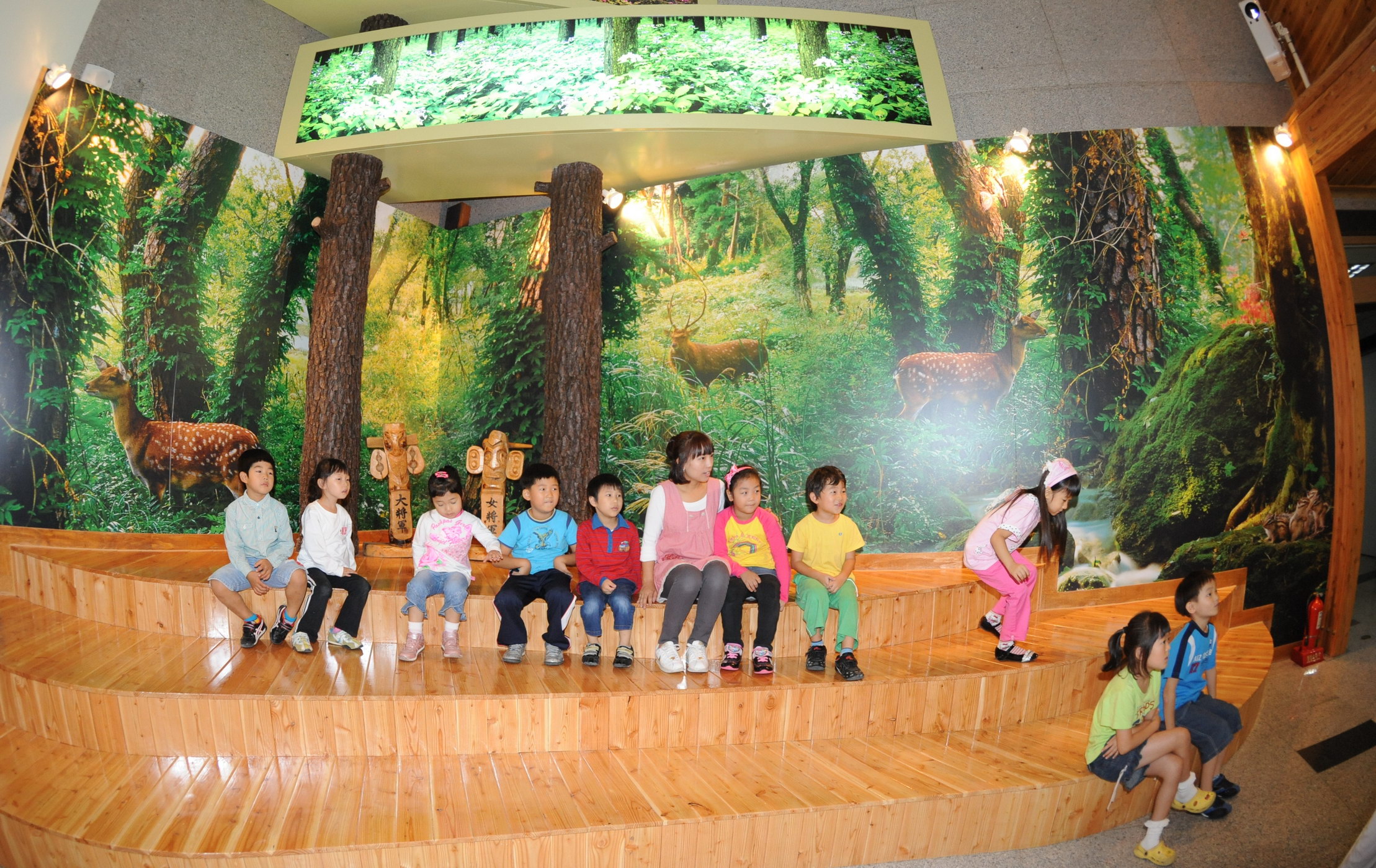 유아 산림교육 메카로 떠오른 대전청사 숲사랑체험관 이미지1