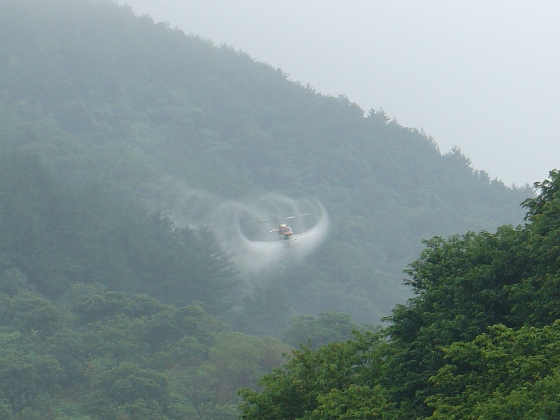 산림청 헬기 소나무재선충병 확산방지에 나선다.  이미지1