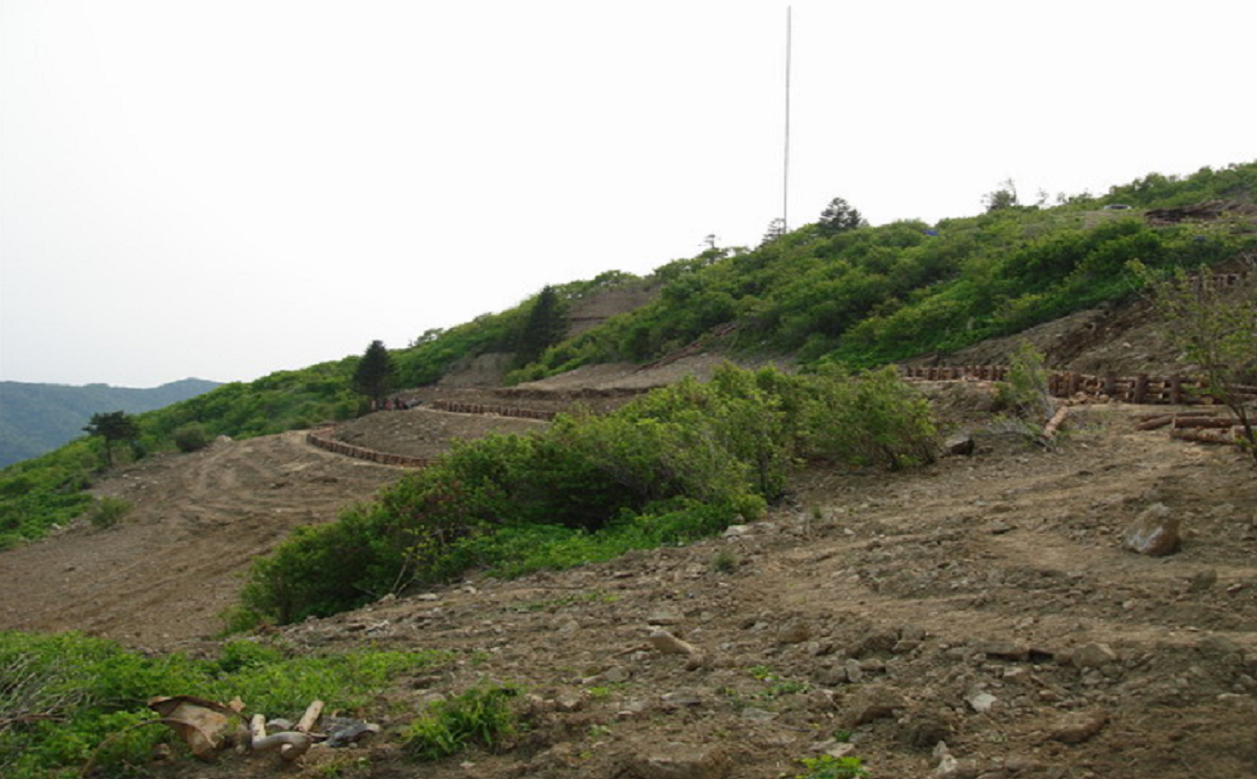 쓰레기 뒤덮혔던 구룡덕봉, 복원사업으로 식생 되살렸다 이미지1