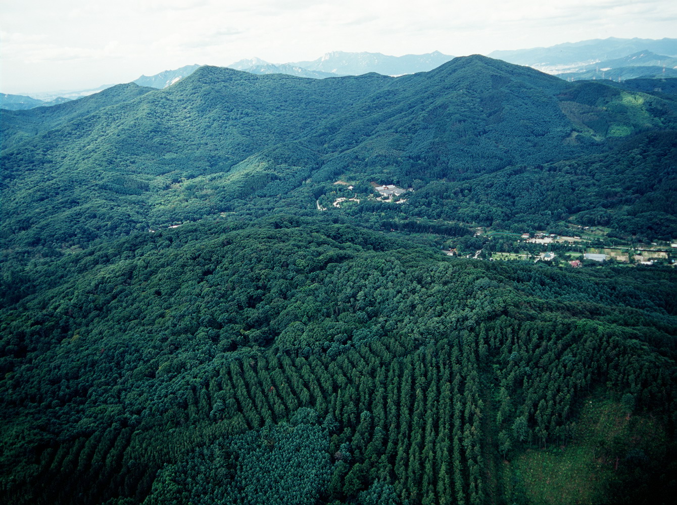 체계적 산림교육 정책 위한 법적 토대 마련