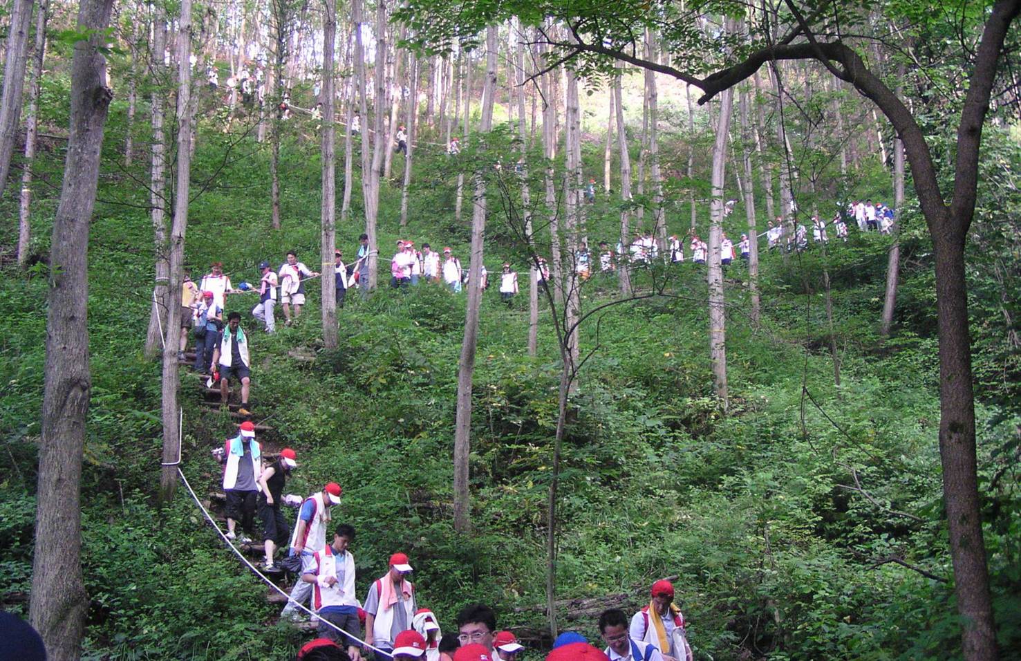 산의 날에 풍성한 산림문화 체험 만끽하세요