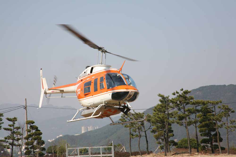 부산지역 소나무재선충병 항공예찰실시