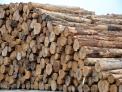 올 국산목재 사용량445만㎥, 자급률16%로 소폭 오를듯