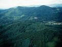 우리나라 우수 산림관리 기술 인도네시아에 전수 추진