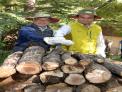 산림청·환경부 북한산 참나무시들음병 공동 방제 펼쳐