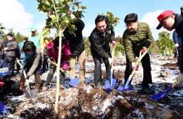 산림청, 제주서 2016년 첫 나무심기 행사