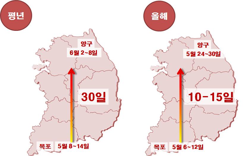 아까시나무 개화 지역간 차이 줄어, 대체 밀원수 개발 시급 이미지1