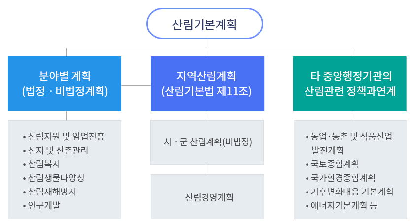 산림기본계획-분야별계획(법정·비법정계획)-(산림자원및임업진흥, 산지및산촌관리,산림복지,산림생물다양성,산림재해방지,연구개발), 지역산림계획(산림기본법제11조)-시·군산림계획(비법정)-산림경영계획, 타중앙행정기관의산림관련정책과연계-(농업·농촌및식품산업발전계획,국토종합계획,국가환경종합계획,기후변화대응기본계획,에너지기본계획등)
