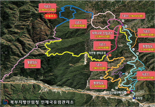 안내초소~원대임도(2.7km,1시간), 원정임도(3.2km 1시간20분), 자작나무진입코스 (0.53km 20분), 1코스(자작나무코스)(0.9km40분~50분), 2코스(치유코스)(1.5km 1시간30분),3코스(탐험코스)(1.2km 40분),4코스(힐링코스)(2.4km 2시간) 이며 자세한 내용은 아래 표를 참고하시면 됩니다