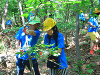 산림교육센터를 이용하고 있는 아이들-식물관찰