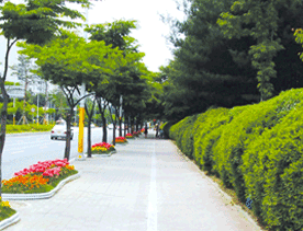 춘천진입관문 경관가로수 전경