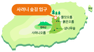 사려니 숲길 입구에서 물찻오름, 붉은오름, 삼나무숲, 사려니오름 의 구간 안내 이미지