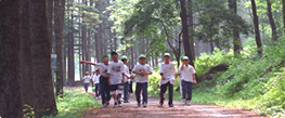 단체의 숲 산책하는 모습