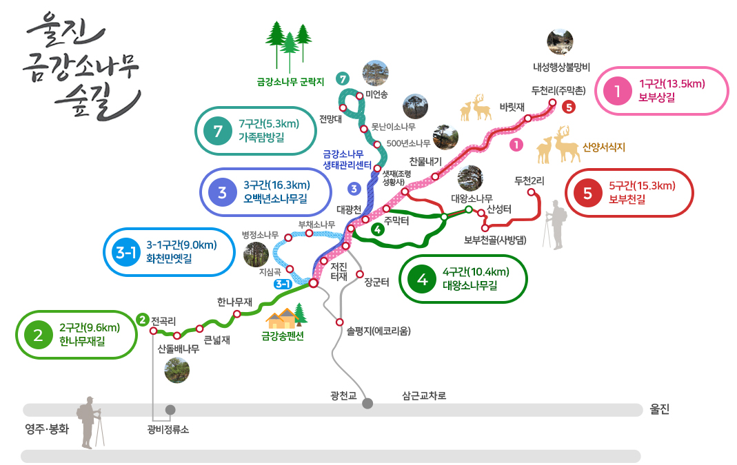 울진 금강소나무숲길 (1구간(13.5km):두천리(주막촌)-바릿재-샛재-대광천 /2구간(9.6km):금강송펜션-한나무재-큰넓재-산들배나무-전곡리 /3구간(16.3km):500년소나무-대광천-너삼발 /4구간(10.4km):너삼발-대광천-삼거리-대왕소나무-삼거리-너삼발 /5구간(15.3km): 두천리(주막촌)두천2리출발기준시범운영-바릿재-샛재-대왕소나무-보부천골