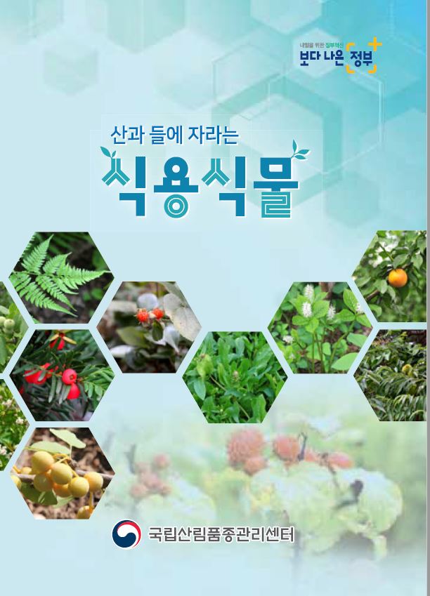 산과 들에 자라는 식용식물 표지