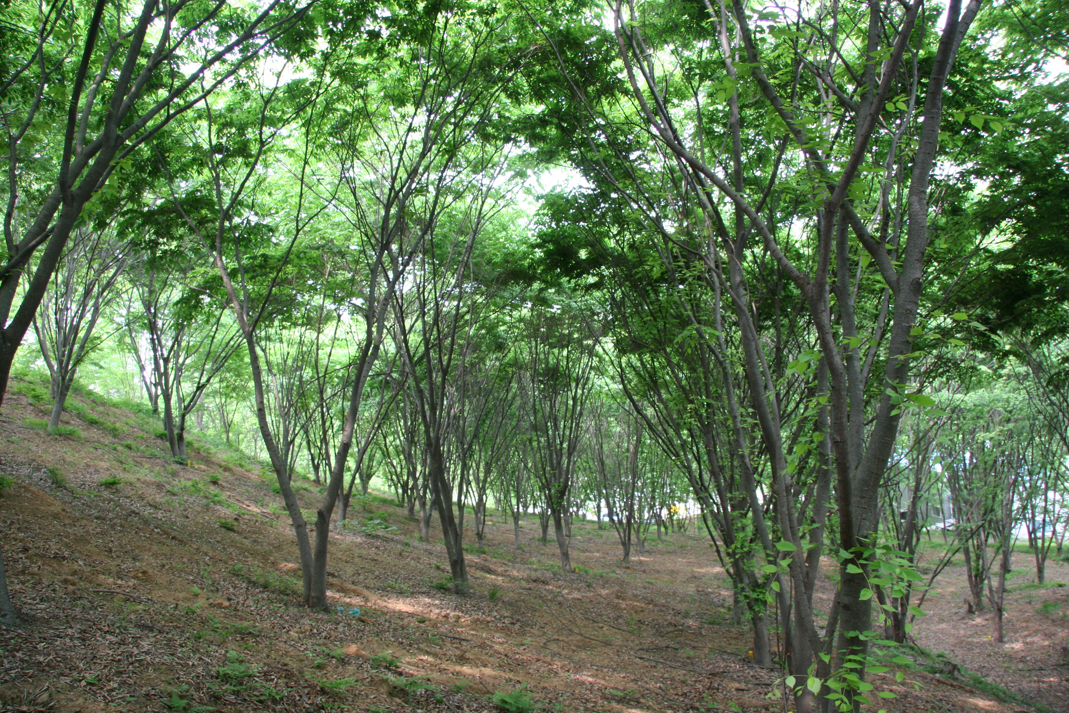 �����긲���п�, �췮 ��Ƽ���� ������ ���� ��������� ���� �̹���4