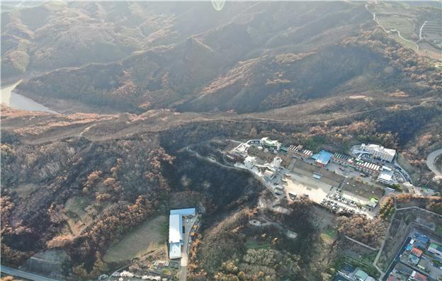 숲가꾸기로 대형산불 사전에 예방한다 이미지2