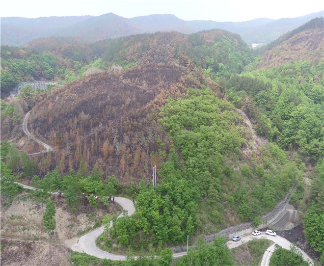 아까시나무 꽃 피면 산불 끝난다는 말은 옛말, 5월도 산불 조심! 이미지1