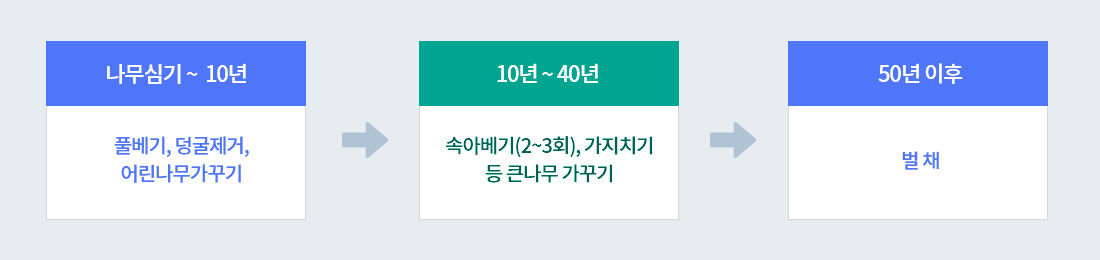 나무심기~10년 : 풀베기, 덩굴제거, 어린나무가꾸기→ 10년 ~ 40년 : 솎아베기(2~3회), 가지치기 등 큰나무 가꾸기→ 50년이후 : 벌채