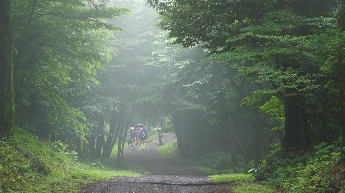 getImage □ 산림청 국립산림과학원(원장 박현)은 5월 18일(수)부터 제주 난대·아열대연구소 한남시험림에서 개발한 산림교육 숲 해설 프로그램 ‘한남연구시험림에서 듣고 보는 신비한 제주 숲 이야기!’를 시작한다고 밝혔다.