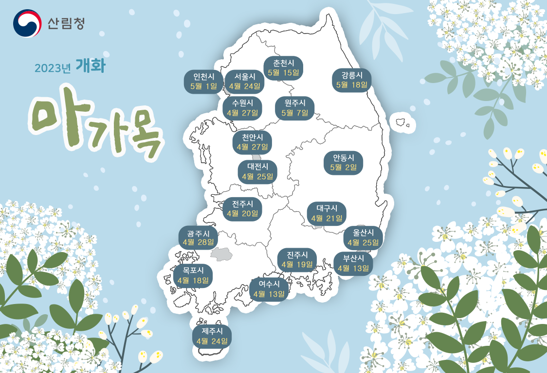 국립산림과학원 봄철 꽃나무 개화시기 예측지도 발표 이미지2