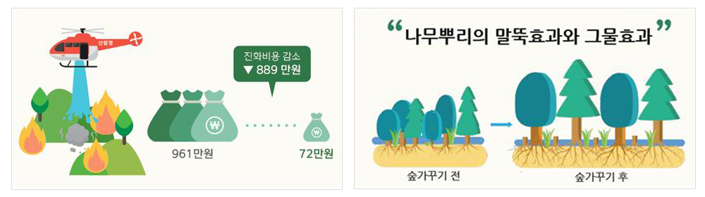 산불발생시 진화비용이 961만원에서 72만원으로 진화비용이 889만원이 감소하고, 나무의 뿌리가 깊이 들어가 말뚝과 같은 역할을 하고 뿌리들이 서로 얽혀 그물과 같은 역할을 하여 산사태 예방 효과를 높인다