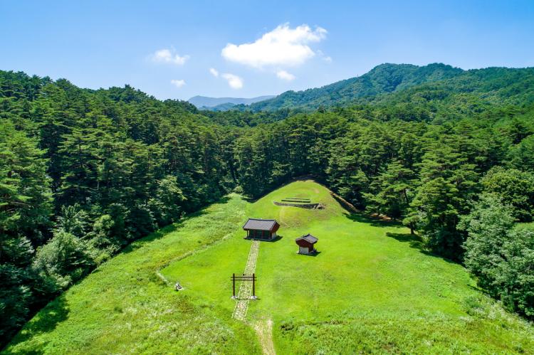 [보전] 82.삼척 영경묘, 준경묘 소나무숲