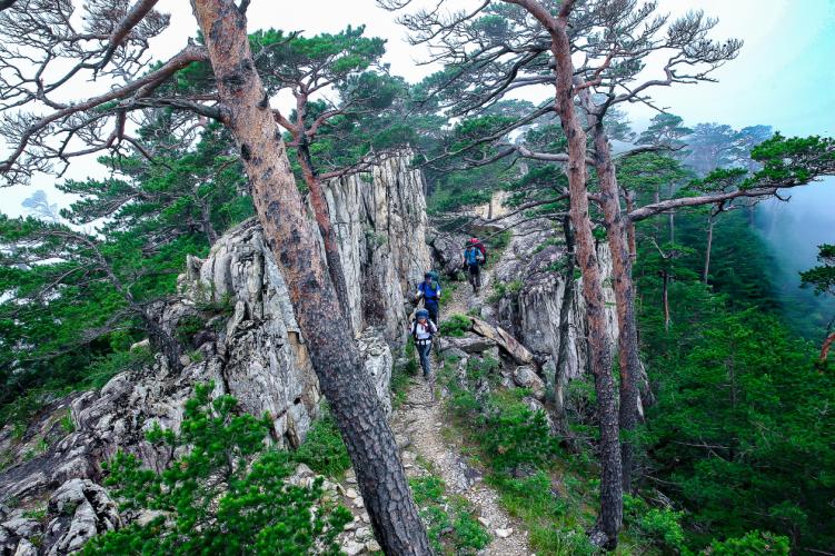 [보전] 81.동해 두타산 무릉계곡숲