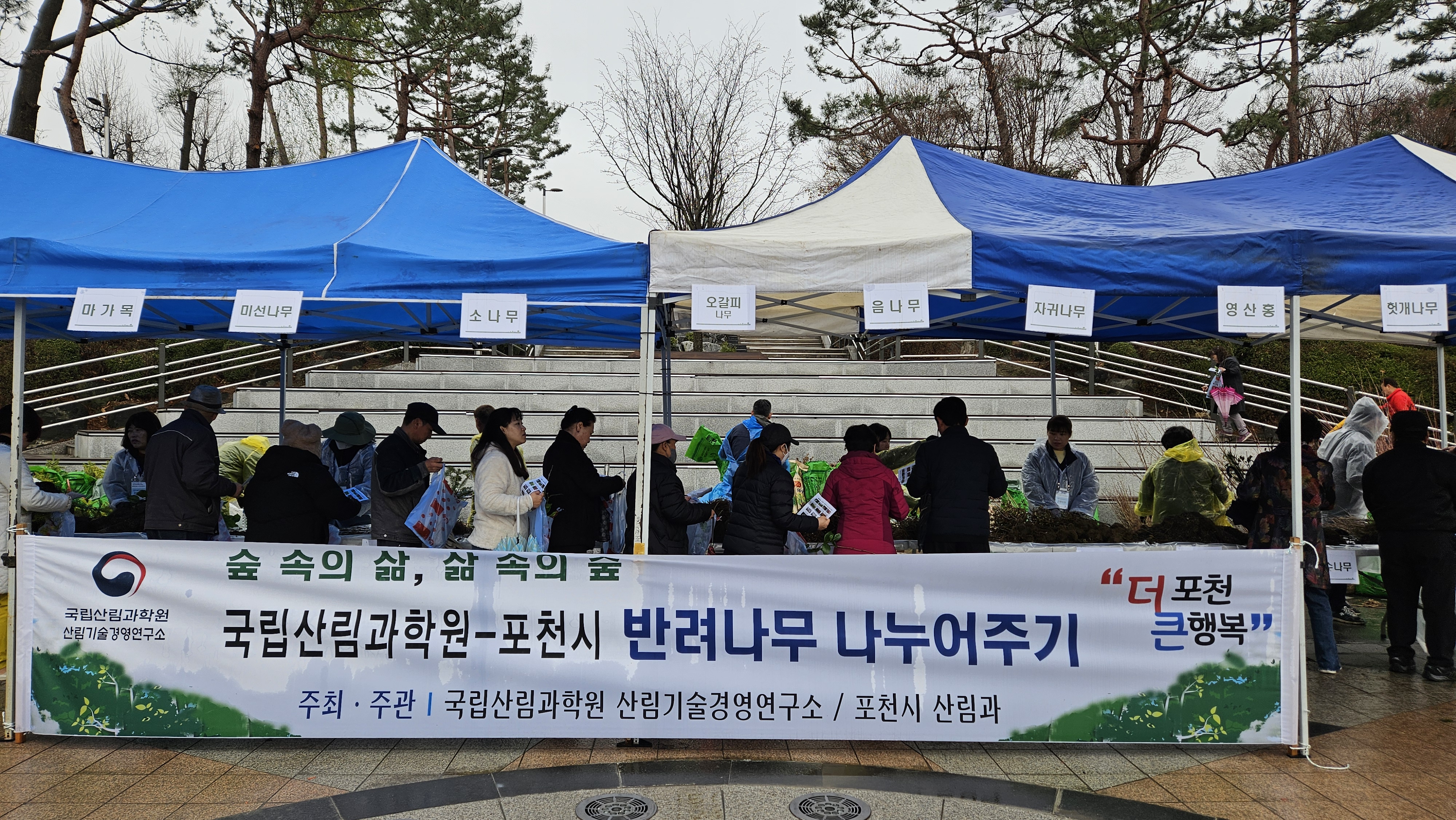 반려나무!! 내 삶 속의 숲 만들기 이미지2