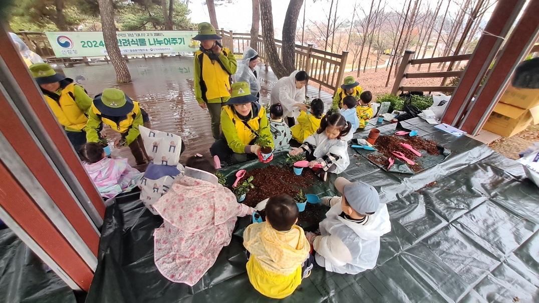 단양국유림관리소, 아이들과 함께하는 반려나무 화분만들기 체험 이미지1