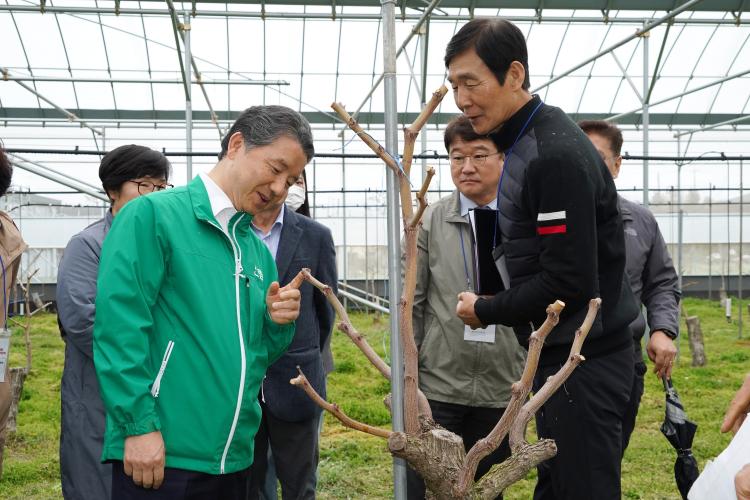 산림청, 소비자 눈높이 맞춘 대추 생산임가 찾아!