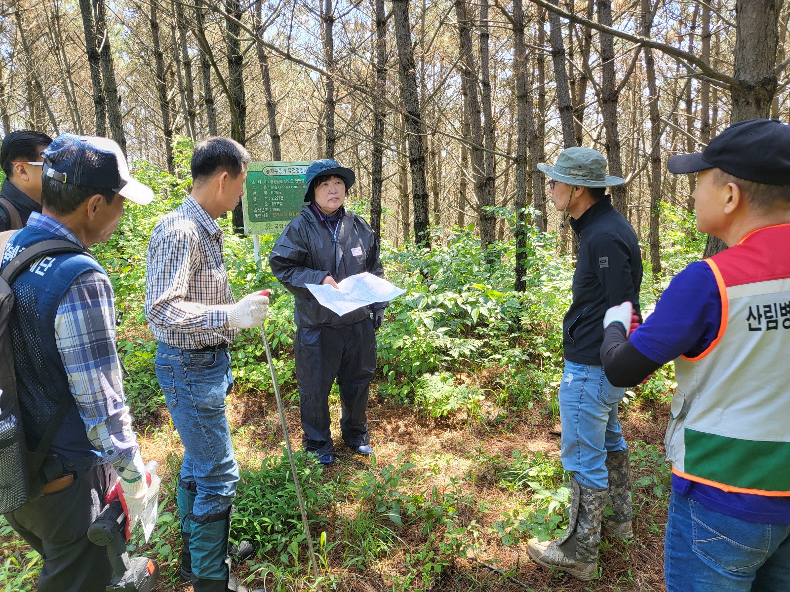 나무육종 연구시험림 관리 위한 현장토론회 개최 이미지2
