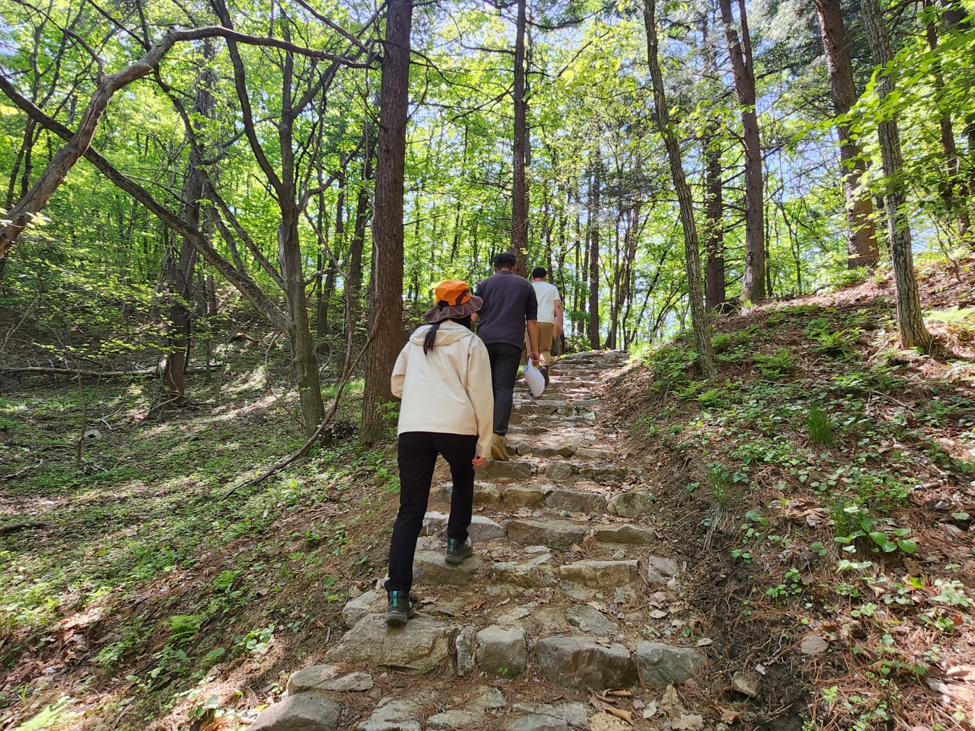 영주국유림관리소, 등산로·숲길 하자점검 및 정비완료(쾌적한 숲길로 안전산행 즐기세요!) 이미지1