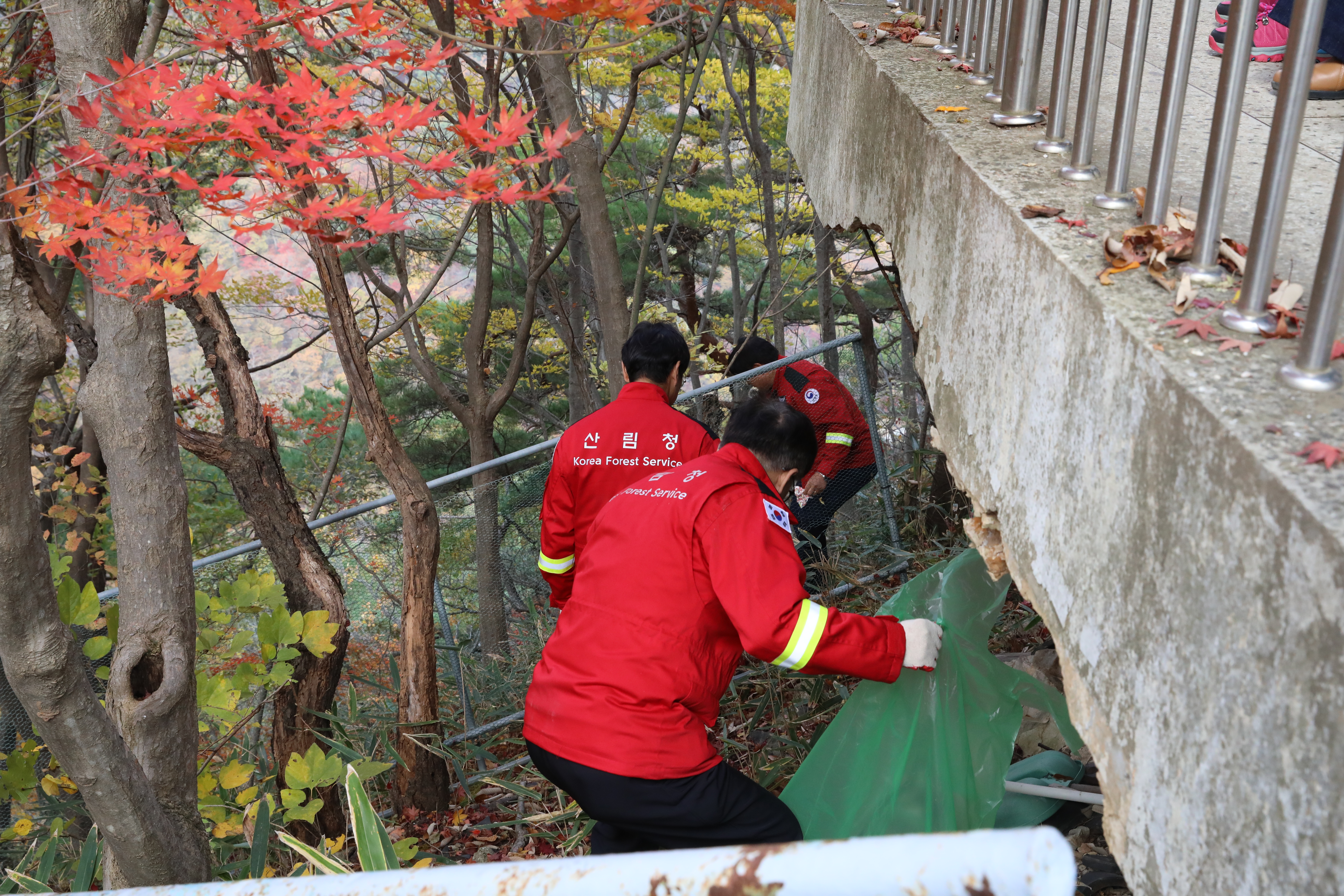 산림청 익산산림항공관리소, 국립공원관리공단 내장산관리소와 합동 산불예방 캠페인 실시 이미지4