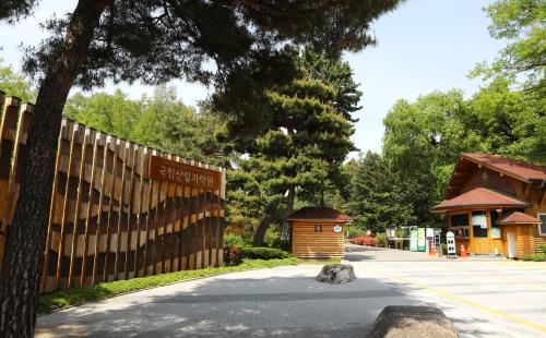 미래 산림과학을 밝히는 지식의 스위치 ‘ON’