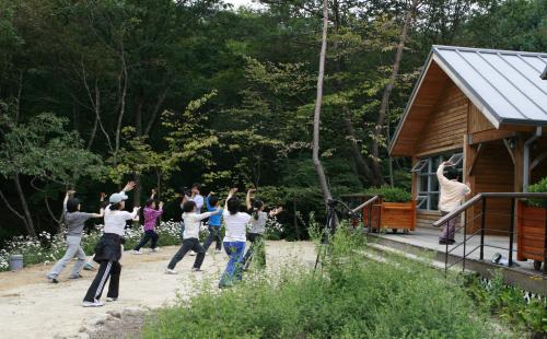산림치유 서비스 만족도, 개인 질환과 동반자 유형에 따라 달라진다!