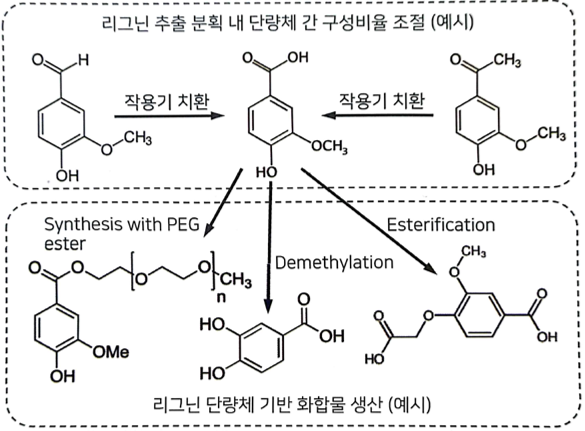 바이오플라스틱의 원료, 나무에서 찾는다!