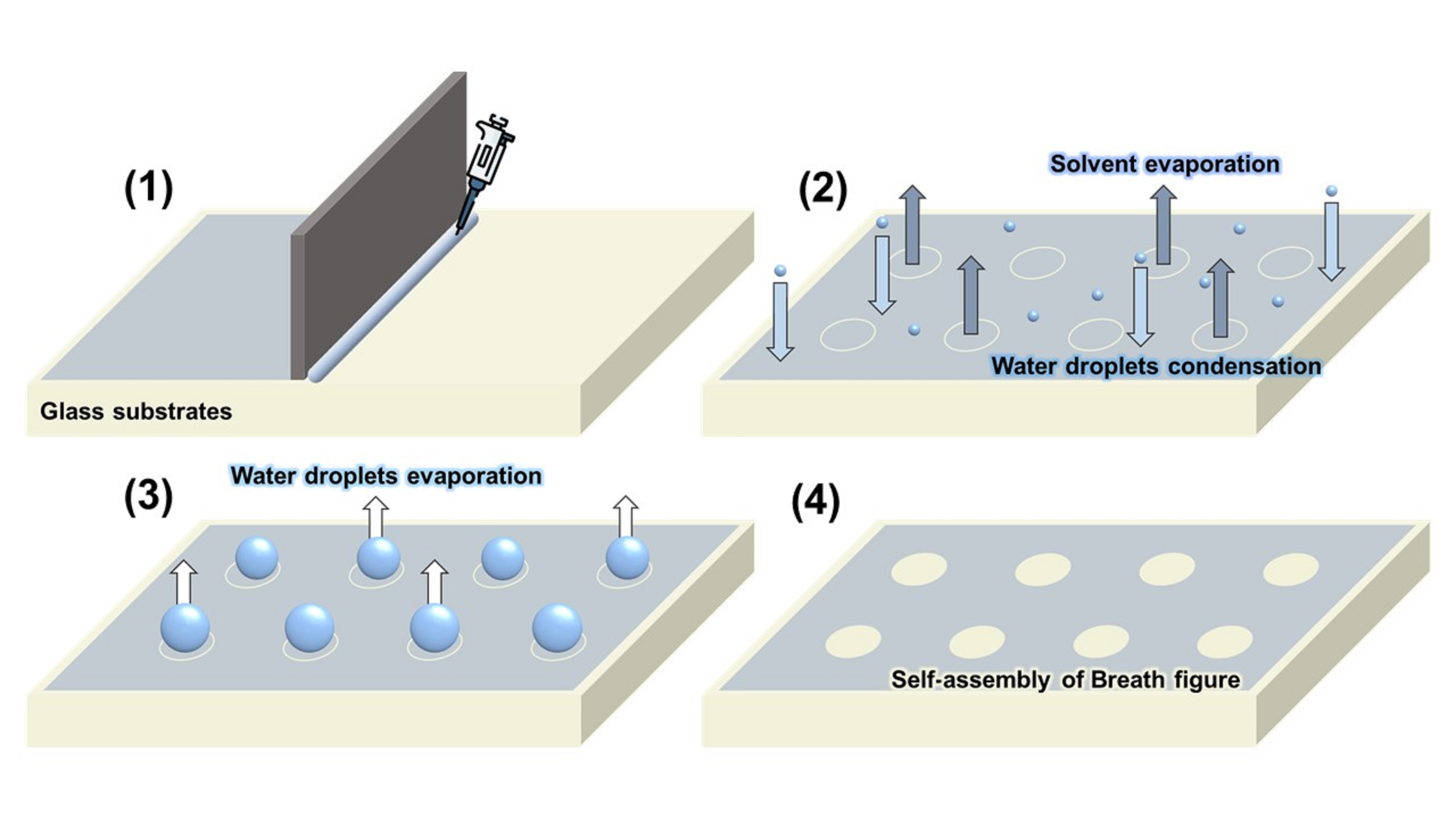 산림청 - 행정정보 > 산림행정미디어센터 > 보도자료 > 국산 목재 펄프로 이차전지 소재 개발에 한 발 더 다가서다!