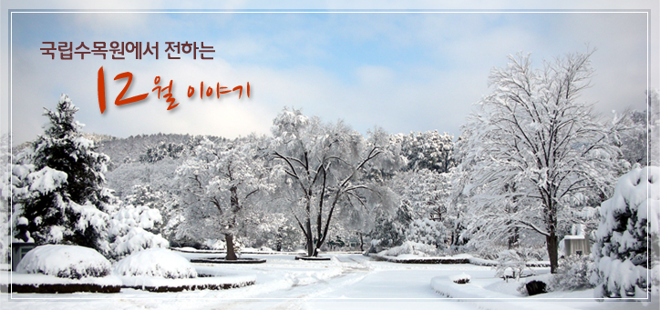 국립수목원에서 전하는 12월 이야기