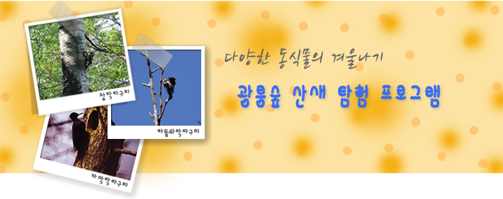 다양한 동식물의 겨울나기 광릉숲 산새 탐험 프로그램