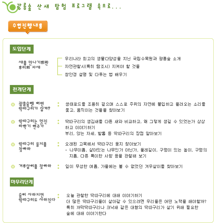 광릉숲 산새 탐험 프로그램 속으로.... 수업진행내용