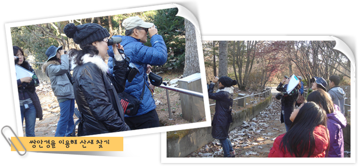 쌍안경을 이용해 산새 찾기