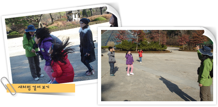 새처럼 걸어 보기