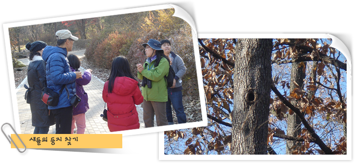 새들의 둥지 찾기