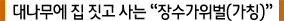 대나무 집 짓고 사는 장수가위벌(가칭)