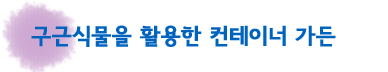 구근식물을 활용한 컨테이너 가든